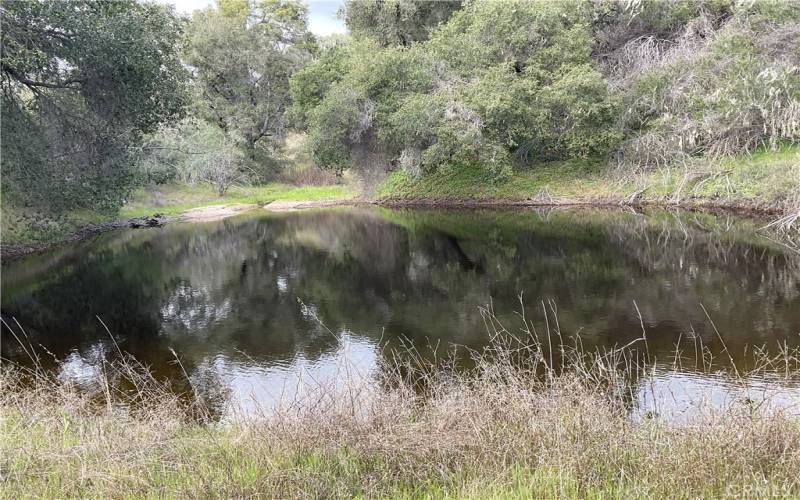 Pond during winter