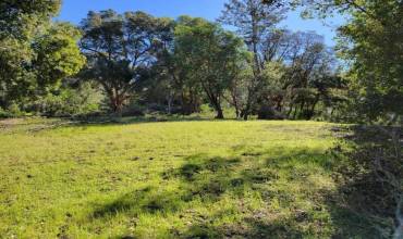 15380 Stetson Road, Los Gatos, California 95033, ,Land,Buy,15380 Stetson Road,ML81922765