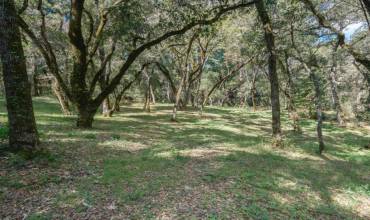 35000 Robinson Canyon Road, Carmel Valley, California 93923, ,Land,Buy,35000 Robinson Canyon Road,ML81958980