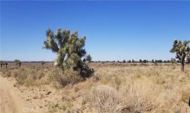 25 E Avenue L4, Palmdale, California 93552, ,Land,Buy,25 E Avenue L4,SR22071512