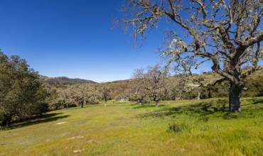 24 Pronghorn Run, Carmel, California 93923, ,Land,Buy,24 Pronghorn Run,ML81959093