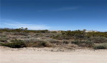 0 Pine Tree Rd, Pinon Hills, California 92372, ,Land,Buy,0 Pine Tree Rd,DW24060996