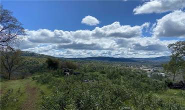 4816 State Highway 49 S, Mariposa, California 95338, ,Land,Buy,4816 State Highway 49 S,MP24049925