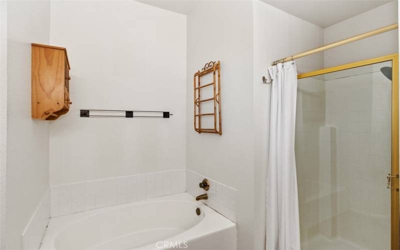 Separate large soaking tub and shower in primary bathroom
