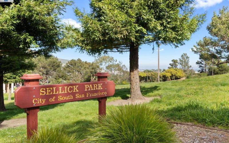 Sellick Park