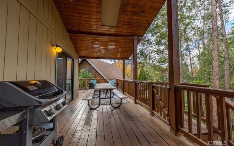 lower level deck off family room