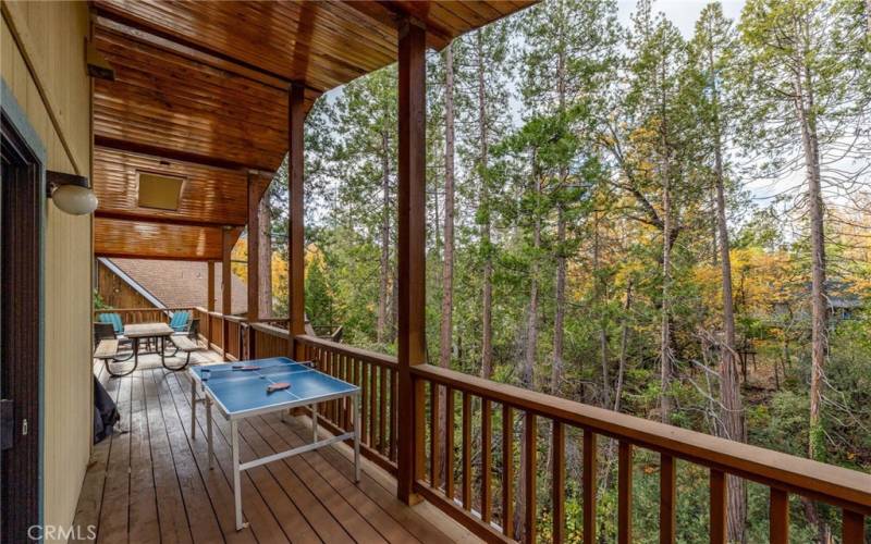 lower level deck off family room