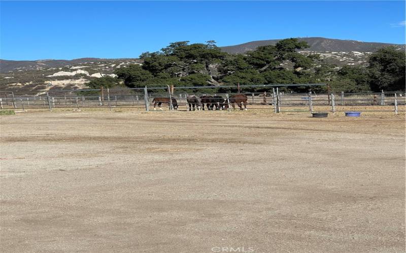 View of horse corrals.