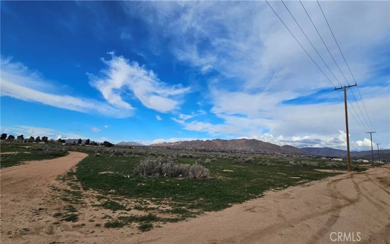 Corner of Vacant Lot On Zuni Rd and Quinnault Rd