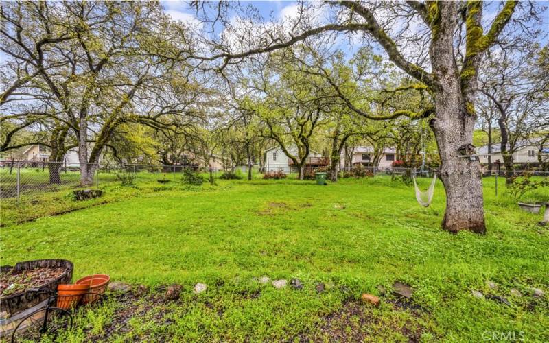 Yard is natural with pretty trees.