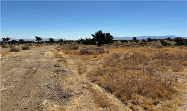 0 Vinton Road, Phelan, California 92371, ,Land,Buy,0 Vinton Road,HD24064523