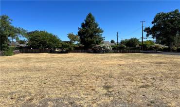 310 Clear Lake Avenue, Lakeport, California 95453, ,Land,Buy,310 Clear Lake Avenue,LC24065344