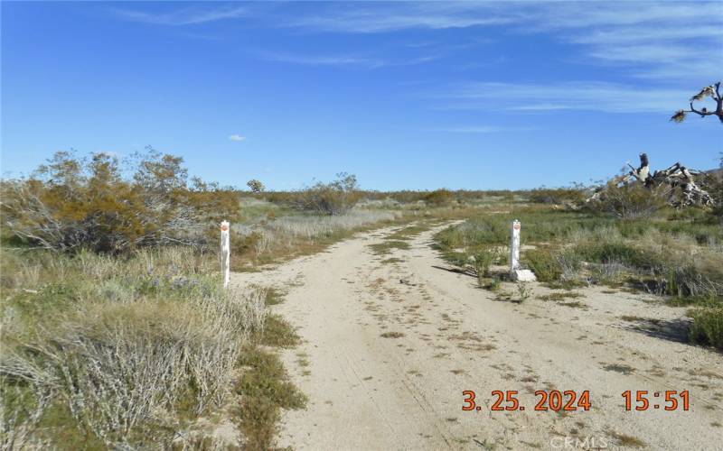 These white posts are just before the property.  Drive through here to get to the cabin.  You will see the burned Joshua Tree to the right.