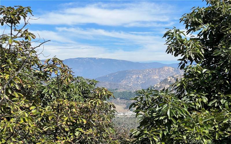 Views of Palomar Mountain