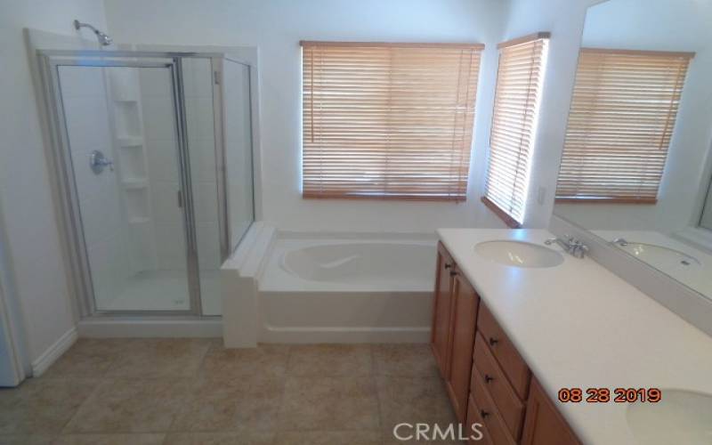 MASTER BATHROOM WITH A DOUBLE SINK & SEPARATE TUB/SHOWER