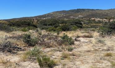1 Old Forest, Anza, California 92539, ,Land,Buy,1 Old Forest,IV23178188