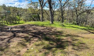 16337 30th Avenue, Clearlake, California 95422, ,Land,Buy,16337 30th Avenue,LC24067734