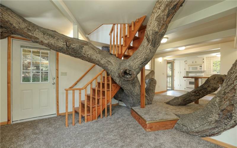 Tree House