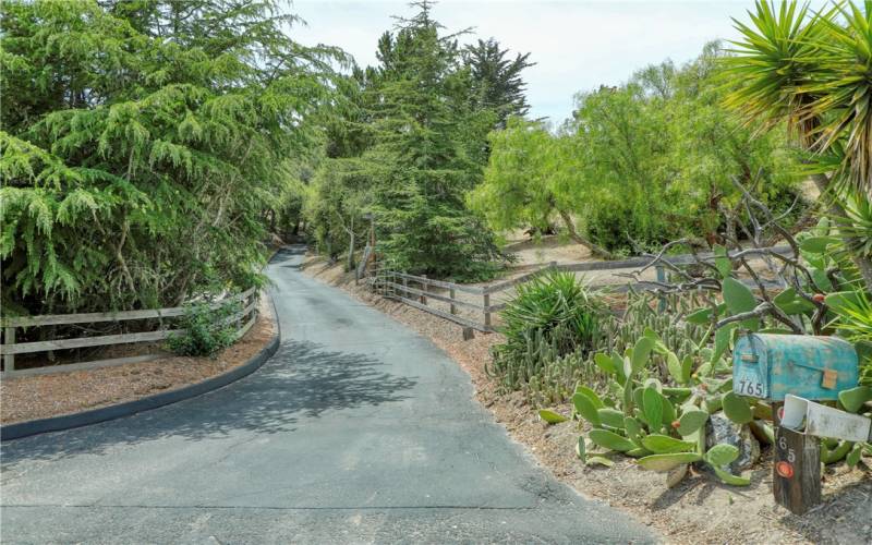 Beautiful driveway