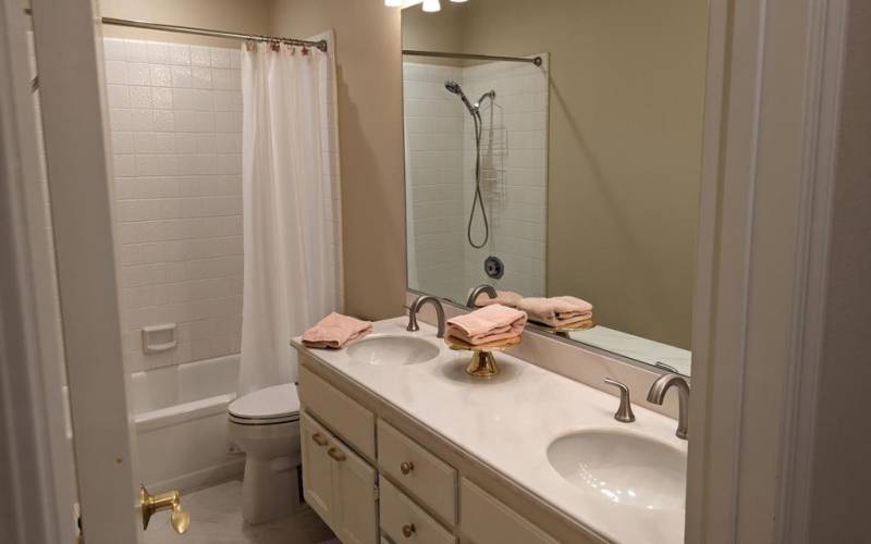 Hall/Guest BR vanities and Tub/shower