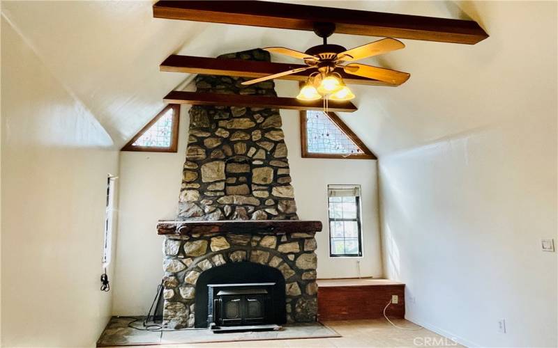 Living room Fireplace