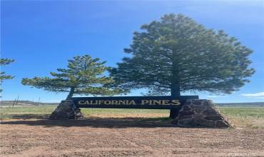 0 Yellow Pine Drive, Alturas, California 96101, ,Land,Buy,0 Yellow Pine Drive,OC23191882
