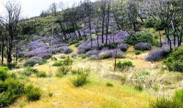 35005 Loma Chiquita Road, Los Gatos, California 95033, ,Land,Buy,35005 Loma Chiquita Road,ML81944413