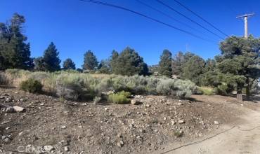 0 Pelican Drive, Baldwin Lake, California 92314, ,Land,Buy,0 Pelican Drive,SB24069510