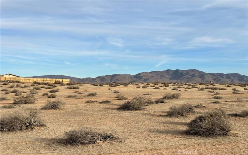 View of land from center of lot