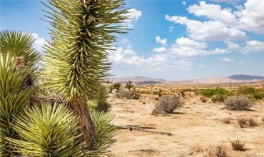5545 Red Ryder Road, Pioneertown, California 92268, ,Land,Buy,5545 Red Ryder Road,PW23203951