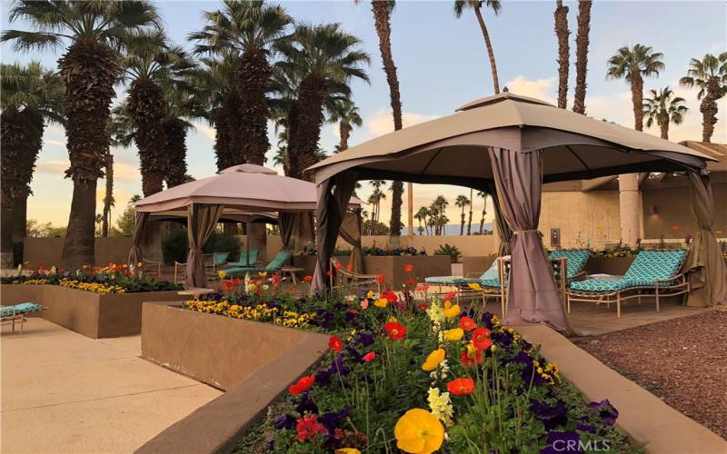 Cabanas at the Clubhouse