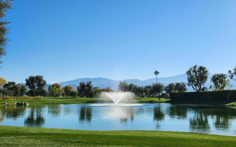 Pond at golf course