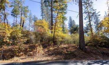 10991 Gifford Springs Road, Cobb, California 95426, ,Land,Buy,10991 Gifford Springs Road,LC23210060