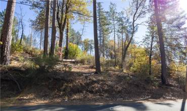 10991 Gifford Springs Road, Cobb, California 95426, ,Land,Buy,10991 Gifford Springs Road,LC23210060