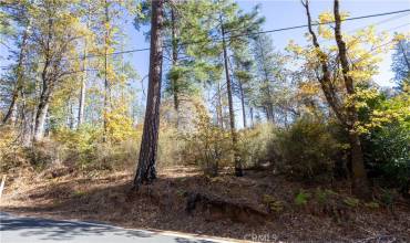 10981 Gifford Springs Road, Cobb, California 95426, ,Land,Buy,10981 Gifford Springs Road,LC23210076