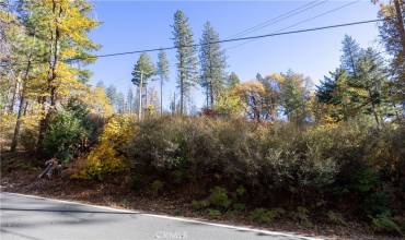 10971 Gifford Springs Road, Cobb, California 95426, ,Land,Buy,10971 Gifford Springs Road,LC23210071