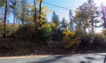 10971 Gifford Springs Road, Cobb, California 95426, ,Land,Buy,10971 Gifford Springs Road,LC23210071