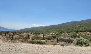 6201 Lone Pine Canyon Road, Wrightwood, California 92397, ,Land,Buy,6201 Lone Pine Canyon Road,HD22072357