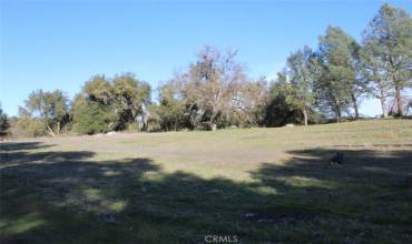 3891 Ben Hur Road, Mariposa, California 95338, ,Land,Buy,3891 Ben Hur Road,FR24071850