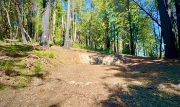 80 Conifer Lane, Santa Cruz, California 95060, ,Land,Buy,80 Conifer Lane,ML81961075