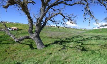 5851 Black Tail Place, Paso Robles, California 93446, ,Land,Buy,5851 Black Tail Place,NS23112062