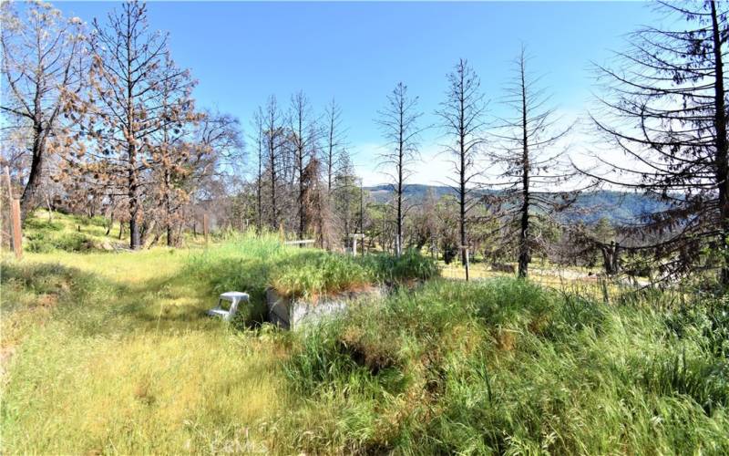 Former garden area. Above where house was.