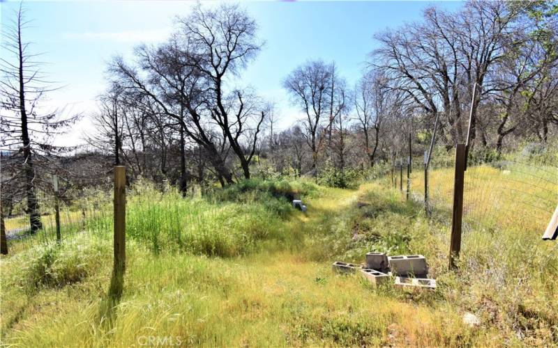 Former garden area. Above where house was.