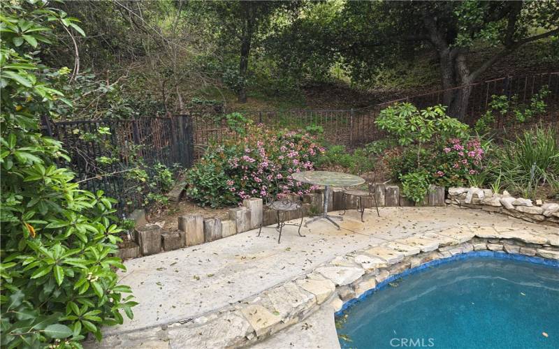 Small patio under canopy of trees