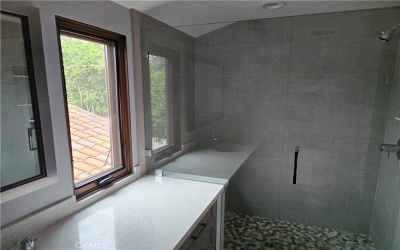 Family Bath counter and shower