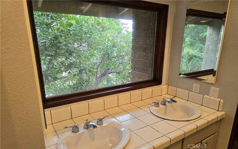 Main Bathroom sink area, with slight view