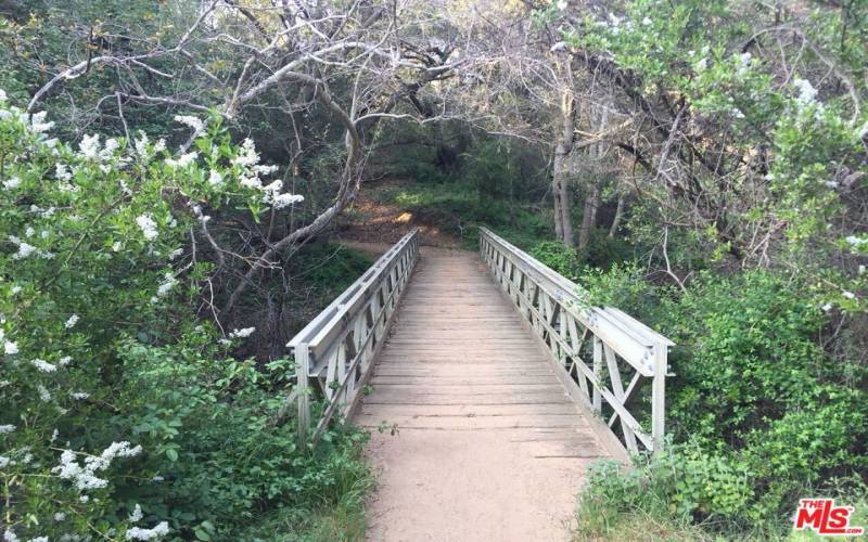 Bridge to the trail