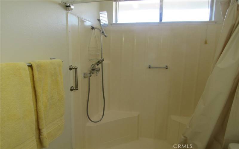 Primary bath with shower