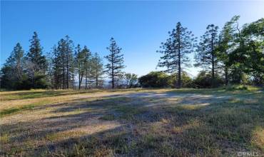 3512 Skycrest Drive, Oroville, California 95965, ,Land,Buy,3512 Skycrest Drive,TR24075597