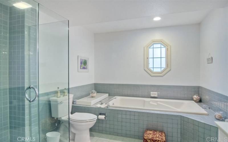 Master bathroom: spacious jetted bathtub and walk in shower.